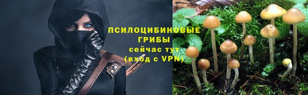 героин Абаза