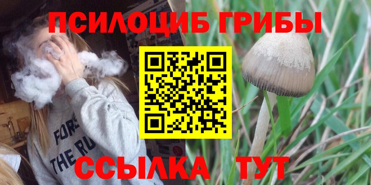 Галлюциногенные грибы мицелий Отрадный