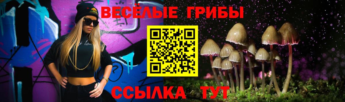 Галлюциногенные грибы мицелий  Вход с VPN  Отрадный 